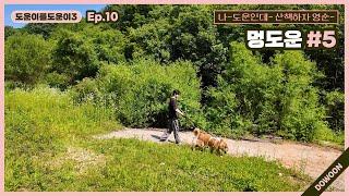 [Helping DOWOON3] Ep.10 DoggyDOWOON #5