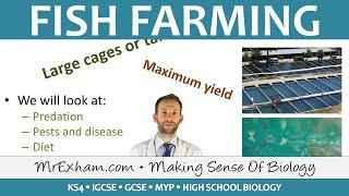 Food Production - Fish Farming - GCSE Biology (9-1)