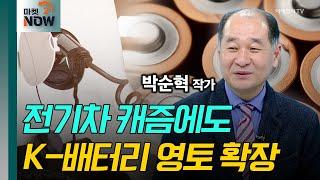 전기차 캐즘에도 K-배터리 영토 확장 / 박순혁 작가 [대담한 대담] | Market Now 2 (20241127)