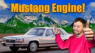 Tour of a Mustang GT 5.0 ho swapped 1991 Ford Crown Victoria!