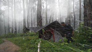 RAIN CAMPING in Storm! - Solo Camping in Heavy Rain and Thunderstorms