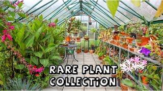 Rare Plant Collection || Greenhouse September Tour with Plant Names