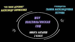 Стихотворение А. Борисенко "Что такое деревня?" читает Латыпов Никита