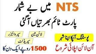 NTS Jobs 2024 - National Testing Service Jobs 2024 - Download Application Form