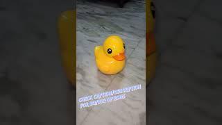 Duck  Laying egg - manvik toys