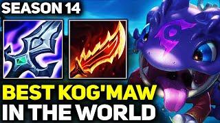 RANK 1 BEST KOG'MAW IN SEASON 14 - AMAZING GAMEPLAY! | League of Legends