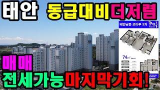 [493] 태안 남문코아루 3차 아파트 분양 및 매매. 더 이상 안나올 가격. 동급대비 더 저렴한 아파트. 방4개, 욕실2개, 요즘 초등학교 통학버스 다녀서 학군걱정 NO!