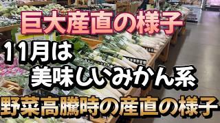 11月の巨大産直　さいさいきてや　の様子です。買い物や農園の参考に！