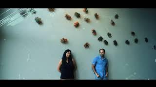 Hasna Sal Maple Leaf Installation An interior glass- Glassconcept360