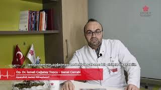 Apandisit neden iltihaplanır?