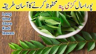 How to One Year Store Kadi leaves/ Pakistani food special ingredient Kadi Patta ko save Karne tareka