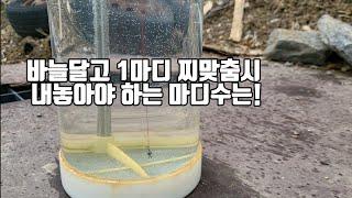 바늘 달고 1마디 찌맞춤시 내놓아야 하는 찌 마디수는! 저수온기 붕어낚시