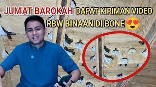 JUMA'AT BAROKAH DAPAT KIRIMAN VIDEO RBW BINAAN ANDI SUFAR DIBONE. Meledakkk