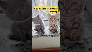 #shortvideo #cat picture frame with battery #cat #kuting #catlover