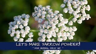 Let's Make Yarrow Powder ~ Herbal First Aid