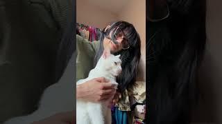 #catlovers #catfunny #cats #kitty #animallover #pets #family #love #happy