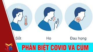 Phân biệt bệnh Covid-19 với cảm cúm, cảm lạnh thông thường | Chuyện cùng bác sĩ