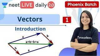 NEET Physics: Vectors - L1 | Phoenix Batch | Live Daily 2.0 | Unacademy NEET | Vibhati Jain
