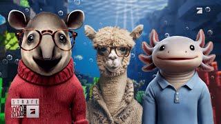 Joko & Klaas gegen ProSieben Strafe Programmansage Spot 1 (ProSieben)