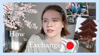 How To Become An Exchange Student + TIPS