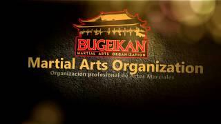BUGEIKAN Martial Arts Organization