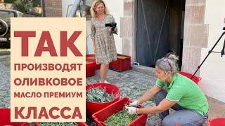 Производство оливкового масла, от А до Я. Olive oil production, harvest and extraction