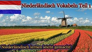 Niederländisch lernen für Anfänger | Vokabeln zum nachsprechen Teil  | Holland-Phrasen