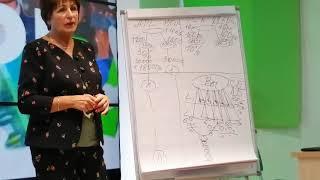 Преимущества маркетинг плана компании APL
