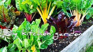 HOW TO MAKE A KITCHEN GARDEN IN KENYA||KENYA YOUTUBERS/ORGANIC FARMING KENYA