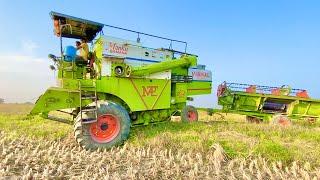 Day-2 | Harvesting Vishal 435 Combine and Sonalika 60 Rx