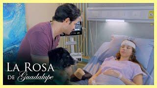 Descubren la farsa de Adriana y por huir sufre un accidente | La Rosa de Guadalupe 4/4 |  Amor…