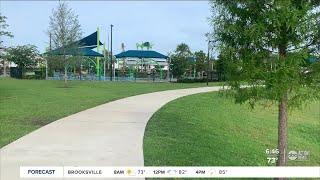 Walking Club: Exploring Carrollwood Village Park