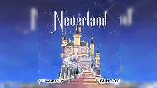 "Neverland" Stash Kit (Presets for Serum, Omnisphere, Purity, One Shots, Vocal Chops)