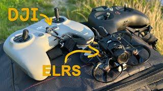 Bind DJI Remote 2 to ELRS Drone!? ft. BetaFPV Pavo Pico O3