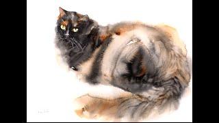 2 watercolor techniques I use a lot especially for painting cats (wash-back and salt)