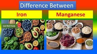 Differences Between Medical And Health Benefits Of Iron and  Manganese