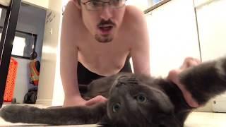 KITTY KITTY  - Ricky Berwick