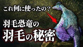 【ゆっくり解説】羽毛恐竜は何に羽毛を使ったのか？実は使い道がたくさんあるんです！