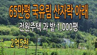 [급매]대지200평,밭800평,주택27평,별채11평  #충청도전원주택매매#괴산전원주택매매#괴산땅매매#전원주택매매#농가주택매매#청주부동산#충북토지매매#경기도땅매매