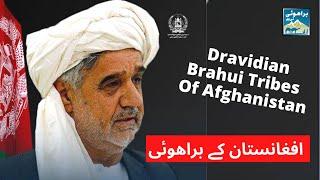 Dravidian Brahui Tribes of Afghanistan | Brahuis of Afghanistan