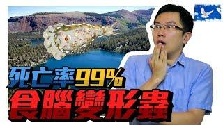 寄生蟲界的魔王「食腦變形蟲」，感染人體致死率99% | 蒼藍鴿聊醫學EP107