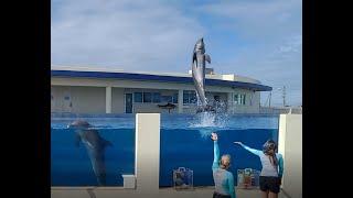 MarineLand Aquarium of Florida November 2020