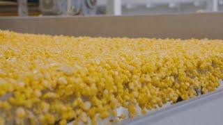 How It's Made Canned Corn