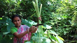 Kochu Shak Recipe- Cooking by my Mother Best Process | Taro Leaf Recipe Indian Bangali Food