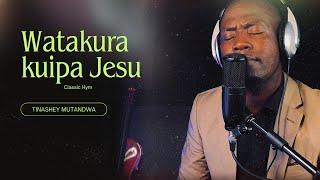 Tinashey Mutandwa - Watakura kuipa
