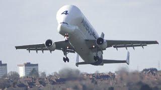 beluga airbus departs bhx