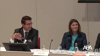 Plenary Session III – International Money Laundering Enforcement