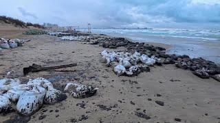 Анапа - Мазутный  МРАК! Разлив Витязево Джемете. Катастрофа.