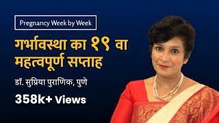 गर्भावस्था का १९ वा सप्ताह | 19th week - Pregnancy week by week | Dr. Supriya Puranik, Pune