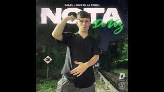 SAILEX NOTA DE VOZ Prod Dani En La Produ